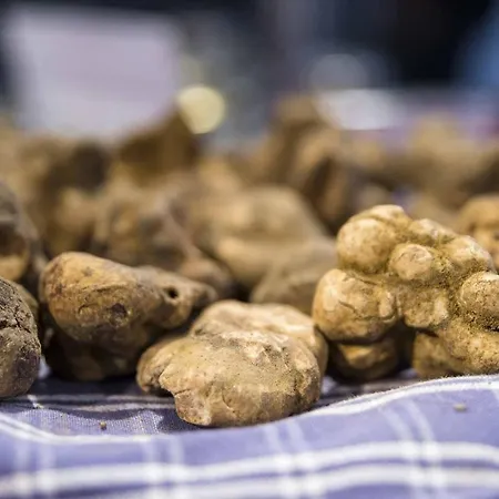 The Church Experience - San Miniato 3* Palagio